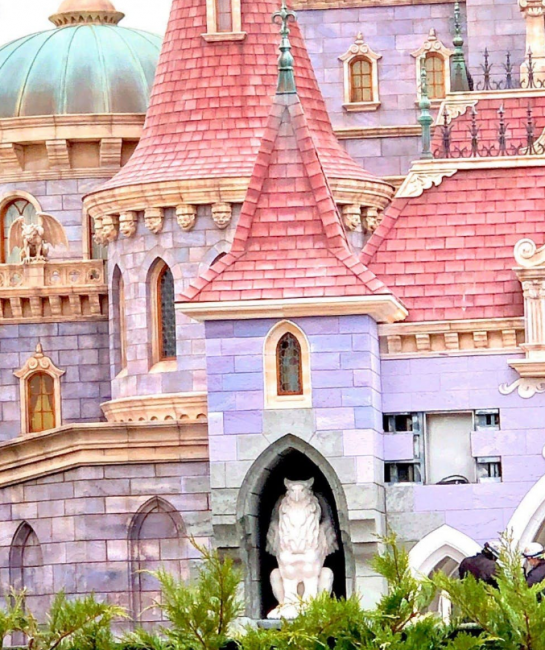 曝光照片於 twitter 疯传,城堡为「new fantasyland」园区的重点建筑